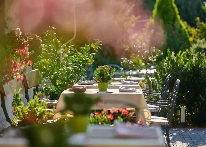 Meilleurs Bed and Breakfast à Bled