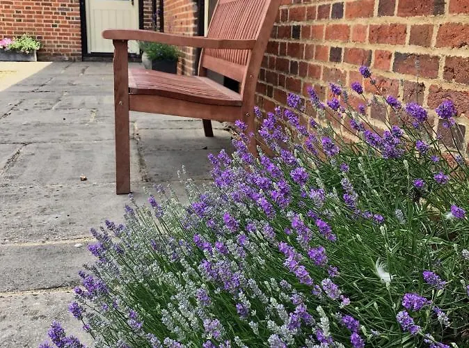 Meilleurs Bed and Breakfast à Luton (Bedfordshire)