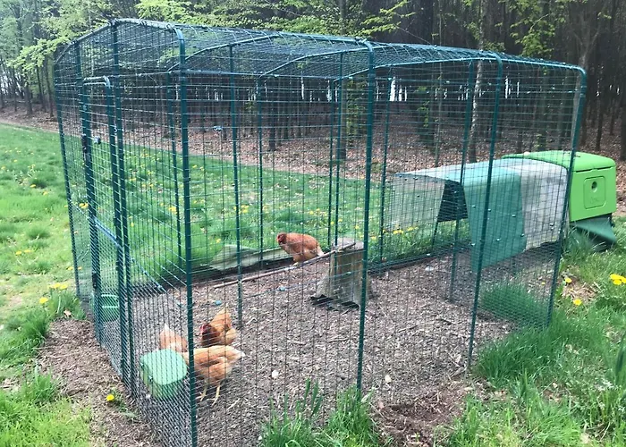 Meilleurs Bed and Breakfast à La-Roche-en-Ardenne