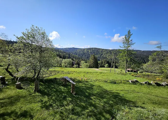 Meilleurs Bed and Breakfast à Gérardmer