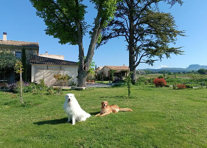 Meilleurs Bed and Breakfast à Sault