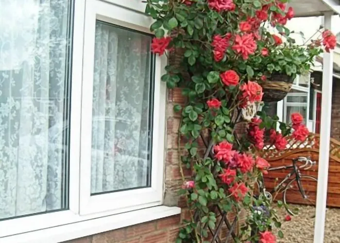 Meilleurs Bed and Breakfast à Cambridge