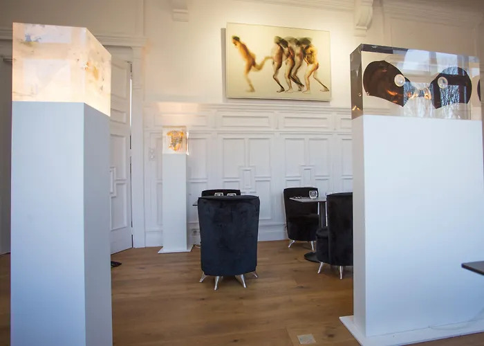 Bed and breakfast L'Esplanade Lille