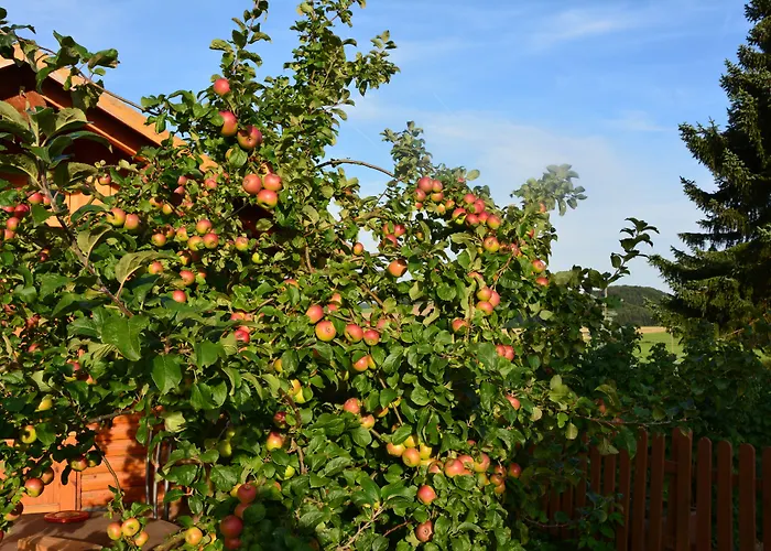 Meilleurs Bed and Breakfast à Bergheim (Rhein-Erft-Kreis)