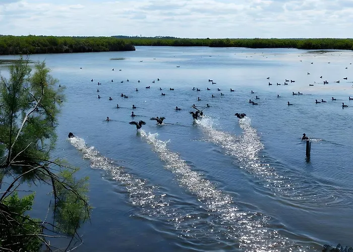 Meilleurs Bed and Breakfast à La Teste-de-Buch
