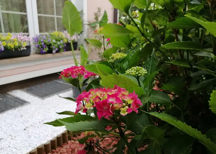 Meilleurs Bed and Breakfast à Maribor